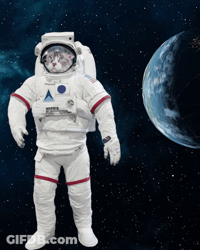 Cat In Astronaut Suit Facing Planet GIF