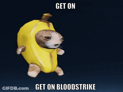 Cat In Banana Costume Get On Bloodstrike GIF