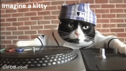 Cat In Baseball Jersey Playing Turntable Imagine A Kitty GIF