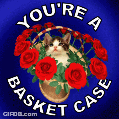 Cat In Basket Of Red Roses GIF