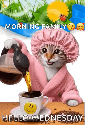 Cat In Bathrobe And Shower Cap Pouring Coffee GIF