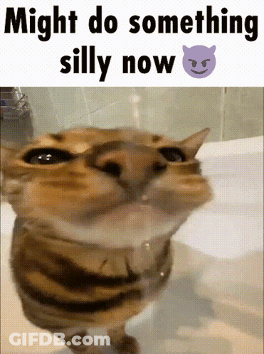 Cat In Bathtub Might Do Something Silly Now GIF