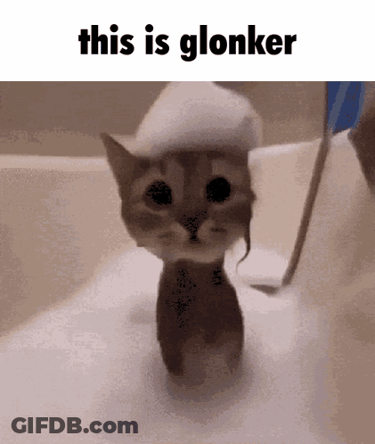 Cat In Bathtub With Foam Saying This Is Glonker GIF