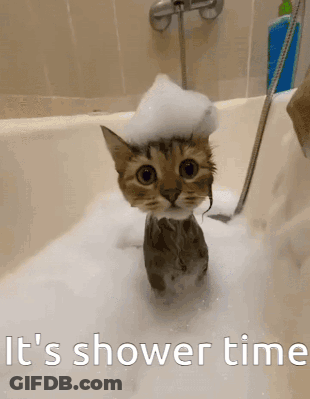 Cat In Bathtub With Foam Shower Time GIF