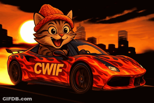 Cat In Beanie Driving Car CWIF GIF