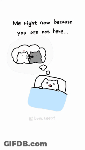 Cat In Bed Saying Me Right Now Because You Are Not Here GIF