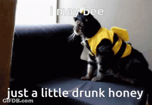Cat In Bee Costume Sitting On Couch GIF