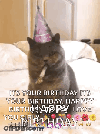 Cat In Birthday Hat Smoking Cigarette GIF