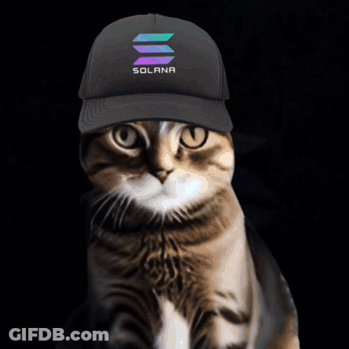 Cat In Black Solana Hat Looking At Camera GIF