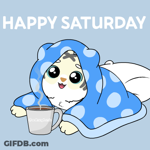 Cat In Blue Blanket Holding Coffee Happy Saturday GIF