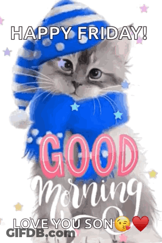 Cat In Blue Hat And Scarf Saying Happy Friday Love You Son GIF
