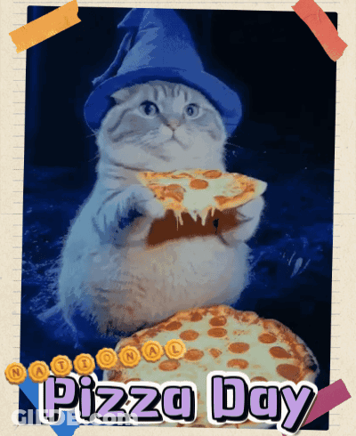 Cat In Blue Hat Holding Pizza Saying National Pizza Day GIF
