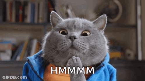 Cat In Blue Jacket Saying Hmmmm GIF