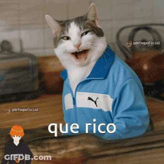 Cat In Blue Puma Jacket Que Rico GIF
