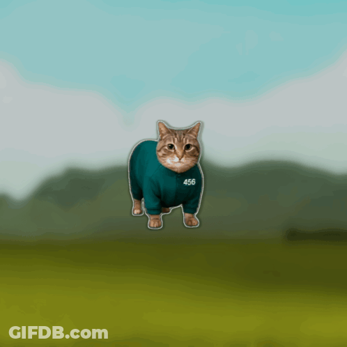 Cat In Blue Shirt Walking In Field GIF