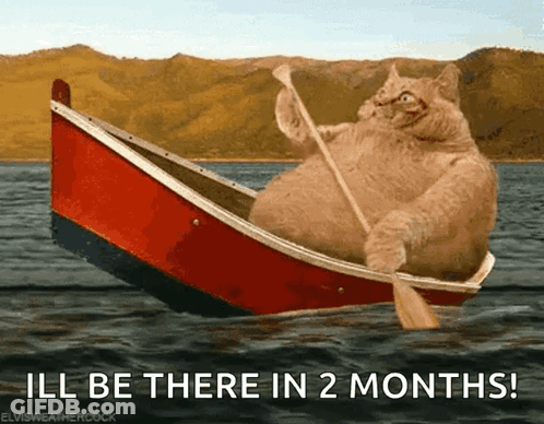 Cat In Boat Saying I'll Be There In 2 Months GIF