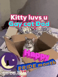Cat In Box Kitty Luvs U Gay Cat Dad GIF