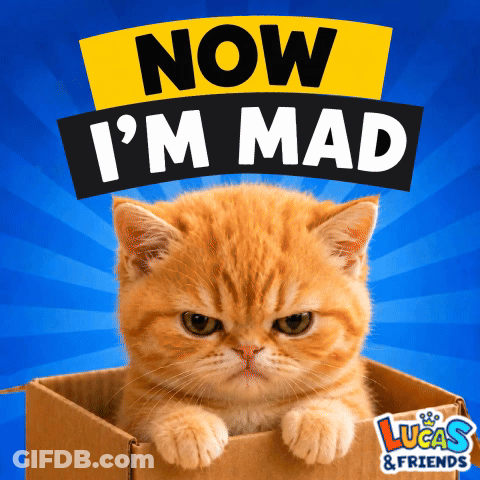 Cat In Box Now I'm Mad GIF