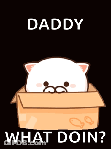 Cat In Box Saying Daddy What Doin GIF