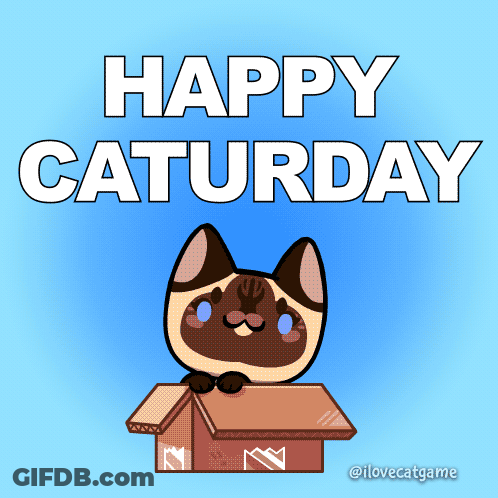 Cat In Box Saying Happy Saturday GIF