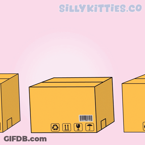 Cat In Box Saying Hi GIF