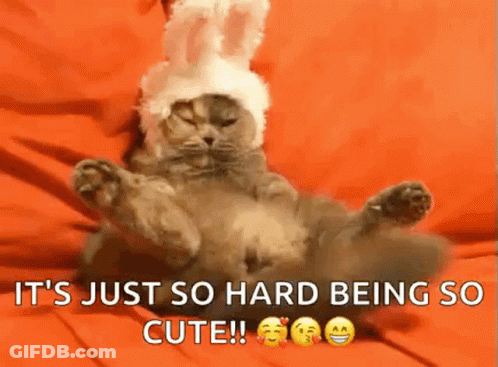 Cat In Bunny Hat Laying On Bed GIF