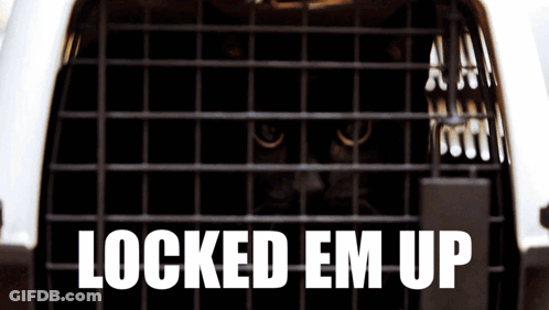 Cat In Cage Locked Em Up GIF