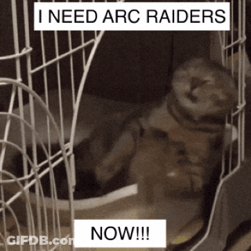 Cat In Cage Saying I Need Arc Raiders Now GIF
