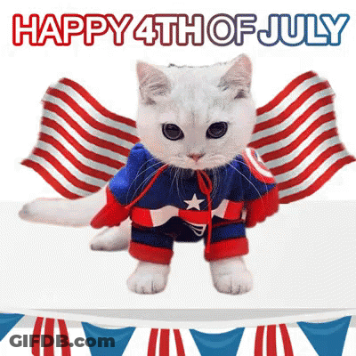 Cat In Captain America Costume Happy 4Th Of July GIF