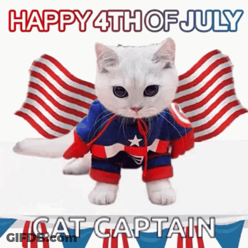 Cat In Captain America Costume With Flags GIF