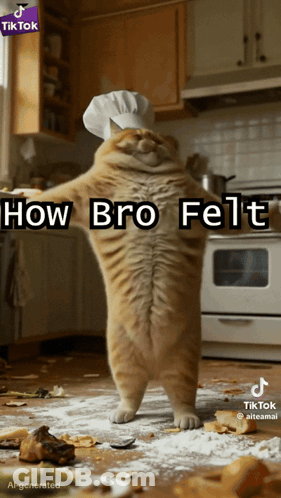 Cat In Chef Hat In Kitchen GIF