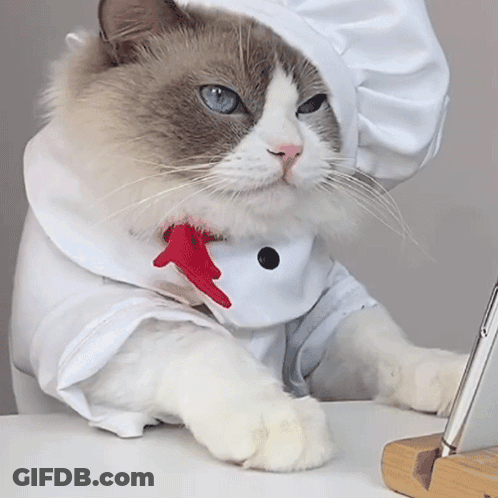 Cat In Chef Hat Sitting On Table GIF