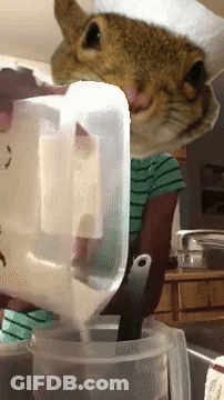 Cat In Chef's Hat Pouring Liquid Into Container GIF