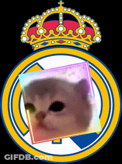 Cat In Circle With Crown Background GIF