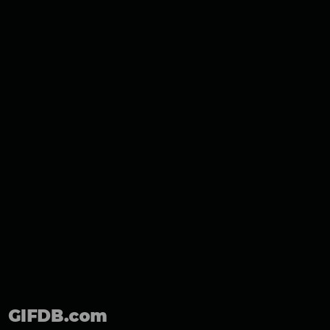 Cat In Clear Dome Houston Mamy Problem GIF