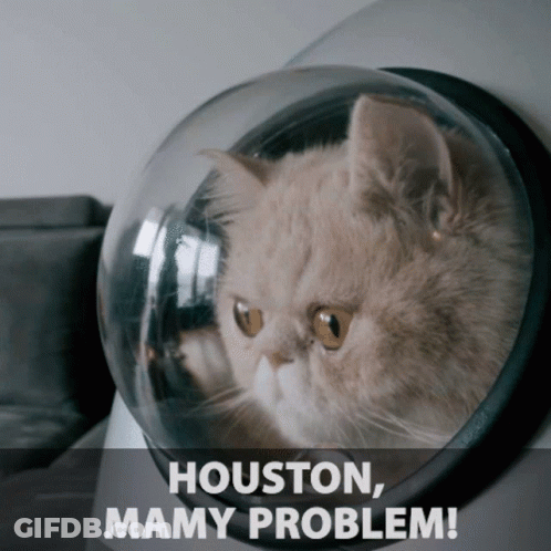 Cat In Clear Dome Saying Houston Mamy Problem GIF