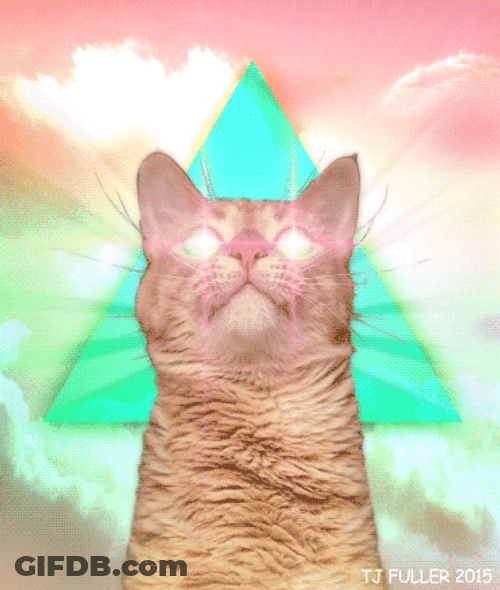 Cat In Colorful Heaven GIF