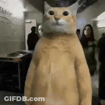 Cat In Costume Standing In Hallway Next To People GIF