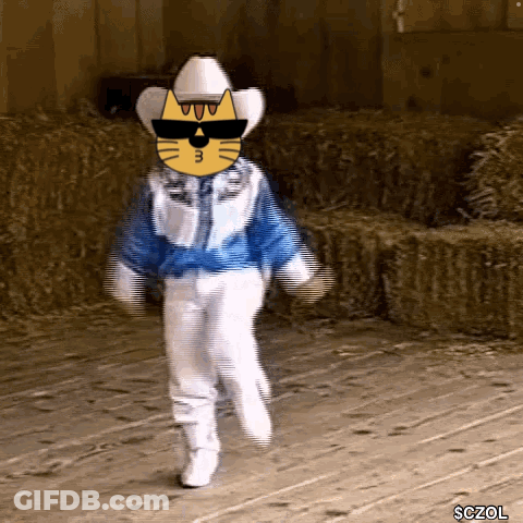 Cat In Cowboy Hat And Sunglasses Walking GIF