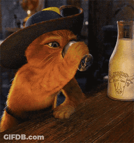 Cat In Cowboy Hat Drinking From Bottle GIF