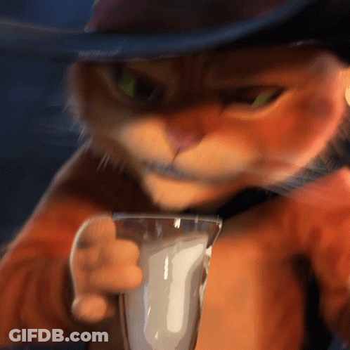 Cat In Cowboy Hat Drinking Milk GIF