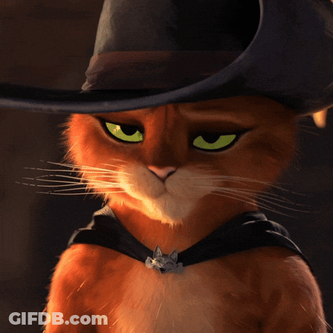 Cat In Cowboy Hat Saying Eh GIF