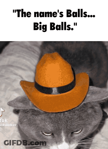 Cat In Cowboy Hat Saying The Name's Balls Big Balls GIF