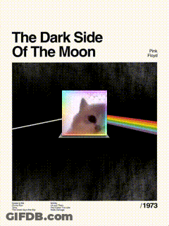Cat In Cube Dark Side Of Moon GIF
