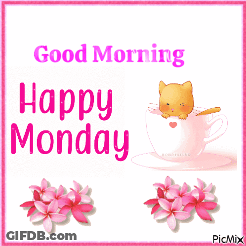 Cat In Cup Saying Happy Monday GIF