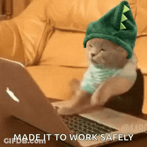 Cat In Dinosaur Hat Typing On Laptop GIF