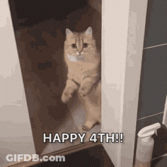 Cat In Doorway Saying Happy 4Th GIF