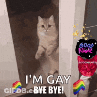 Cat In Doorway Saying I'm Gay Bye Bye GIF