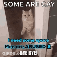 Cat In Doorway Some Are Gay I Need Some Space Men Are Abused GIF