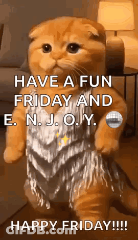 Cat In Dress Says Have A Fun Friday And Enjoy GIF